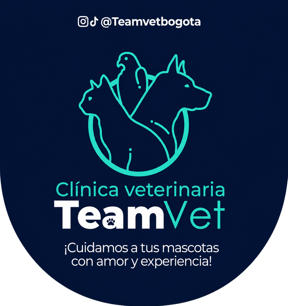 logotipoTeamvet