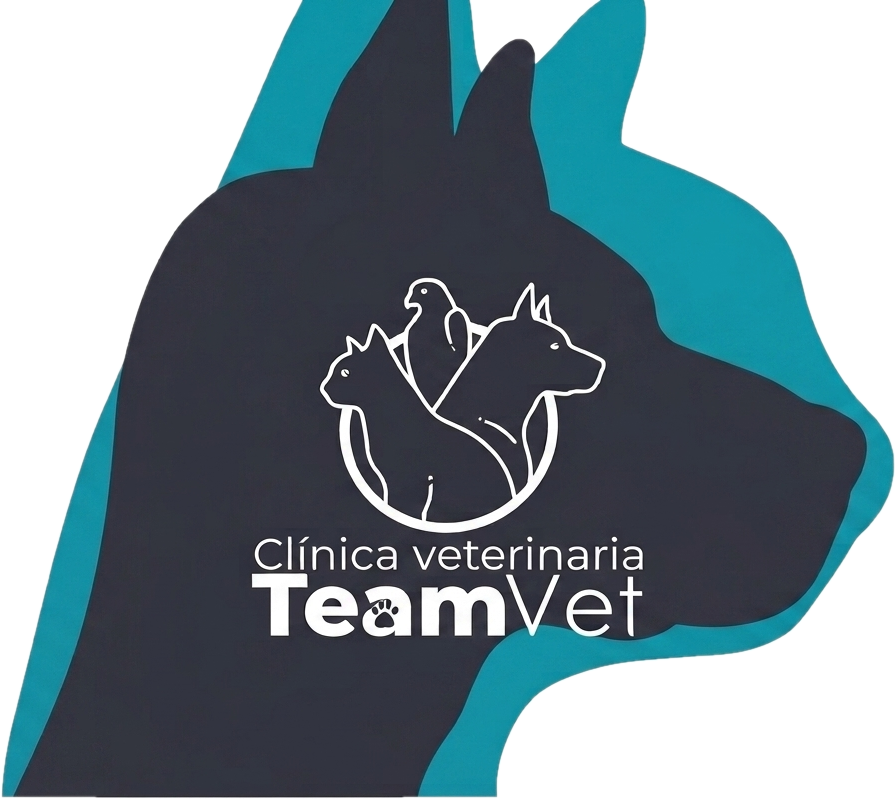 logo2